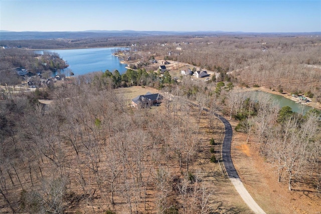 birds eye view of property featuring a forest view and a water view