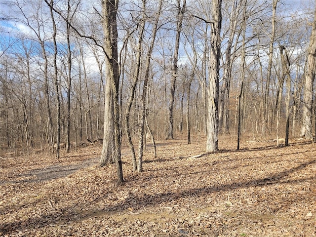 view of local wilderness featuring a forest view