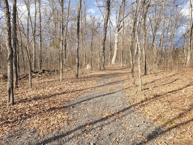 view of road