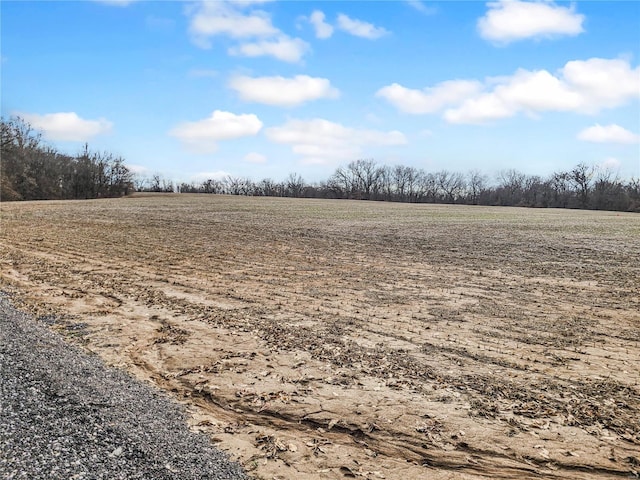 view of landscape featuring a rural view