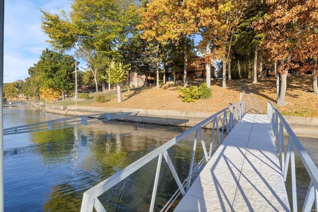 dock area with a water view