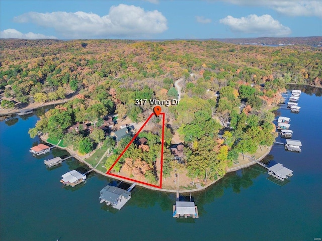 birds eye view of property with a view of trees and a water view