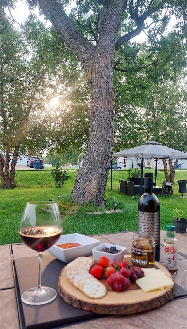 view of community with an outdoor fire pit, a patio area, and a yard