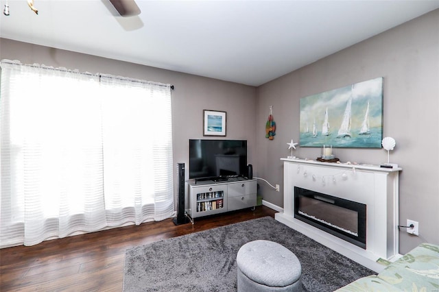 living area with a ceiling fan, wood finished floors, and a glass covered fireplace