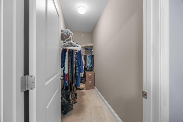 walk in closet with carpet