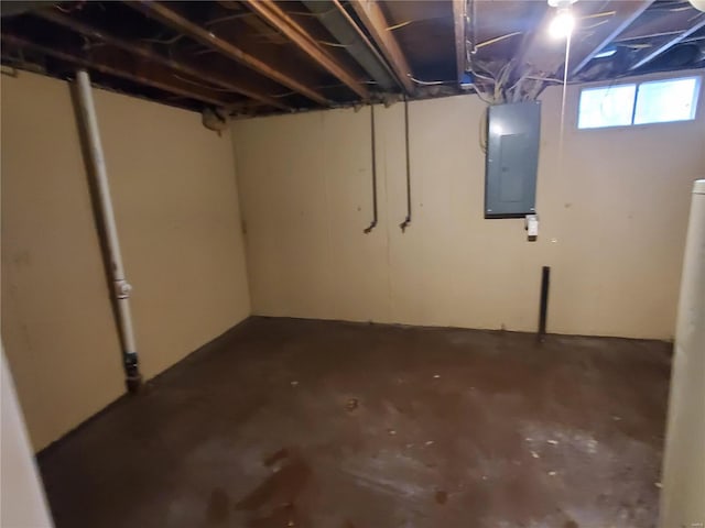 basement with electric panel