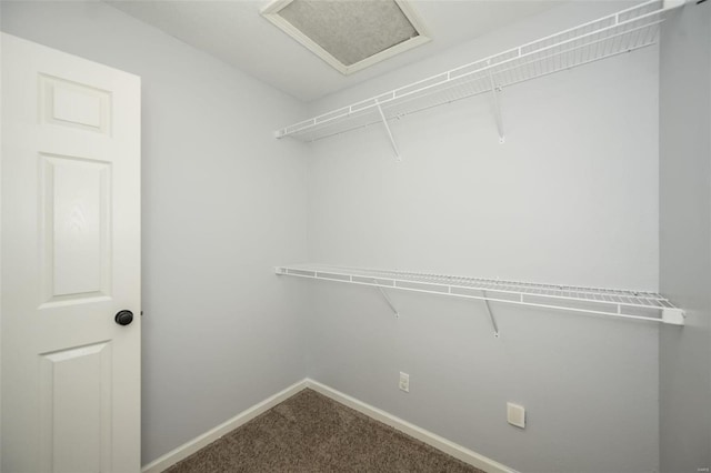 spacious closet featuring carpet