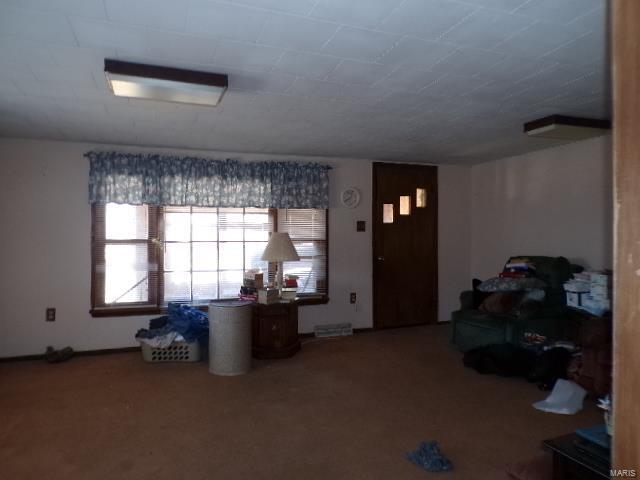 unfurnished living room featuring carpet