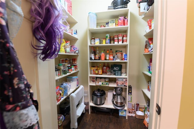 view of pantry