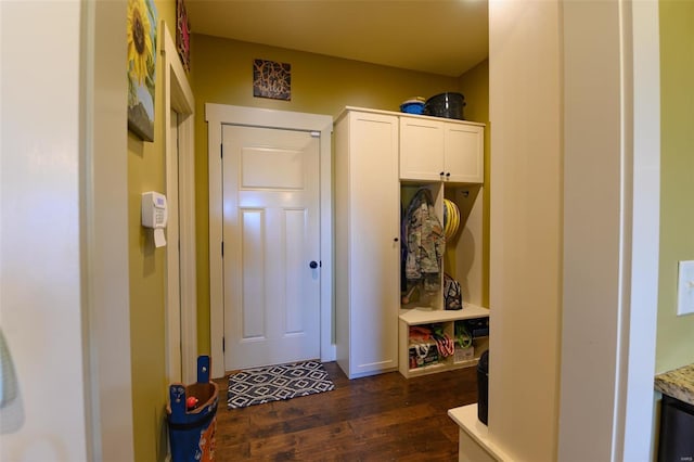 mudroom featuring dark wood-type flooring