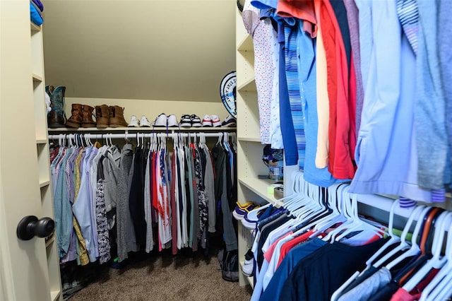 spacious closet featuring carpet