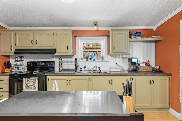 kitchen featuring crown molding, stainless steel countertops, black range with electric stovetop, and under cabinet range hood