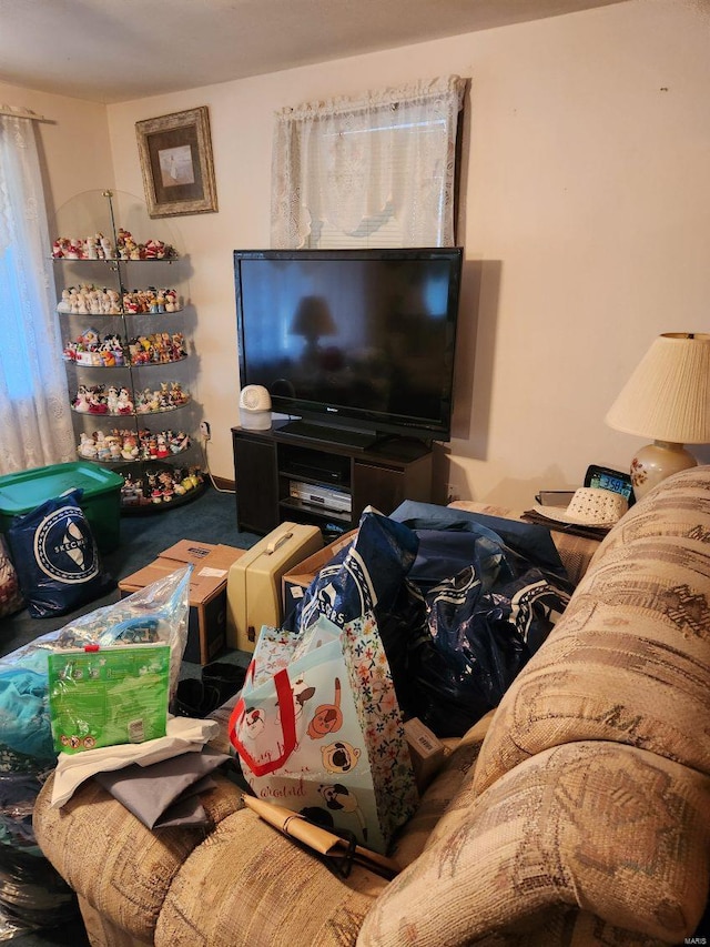 living room with carpet