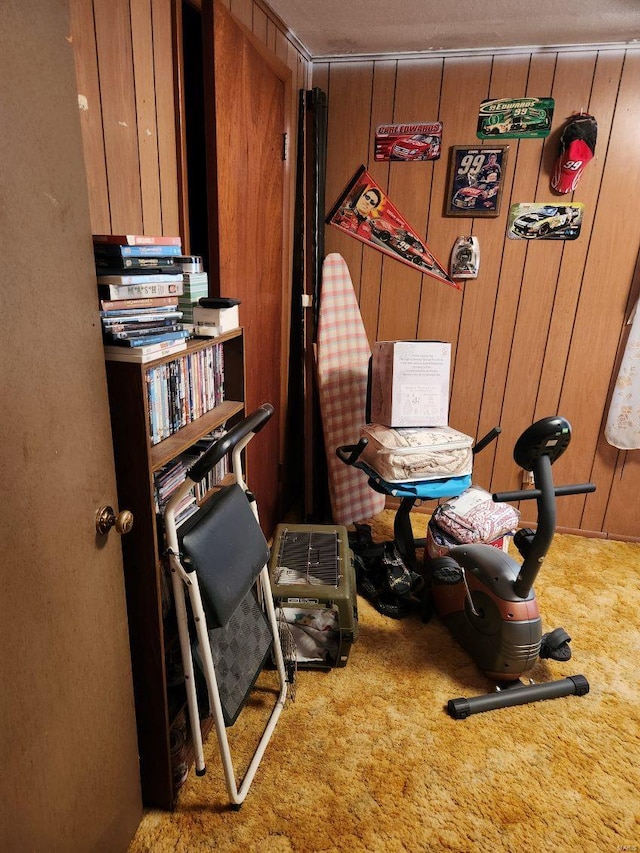 interior space with carpet floors and wood walls