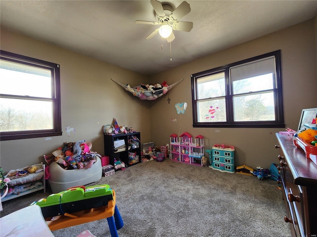 rec room with carpet floors