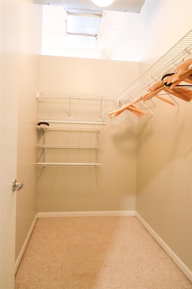 view of spacious closet