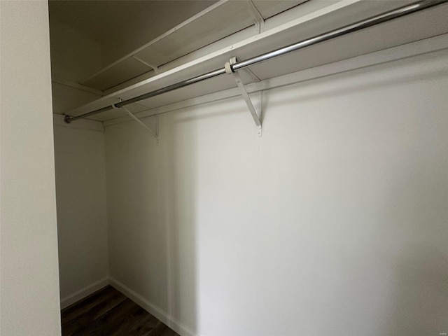 spacious closet featuring dark wood-style floors