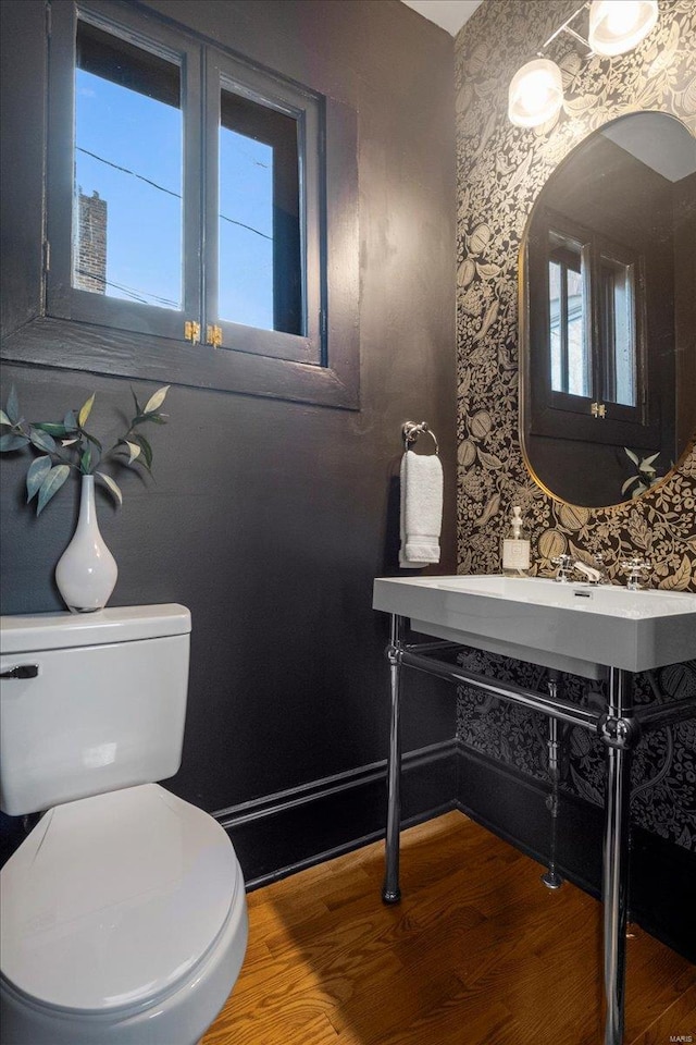 bathroom with toilet and wood finished floors