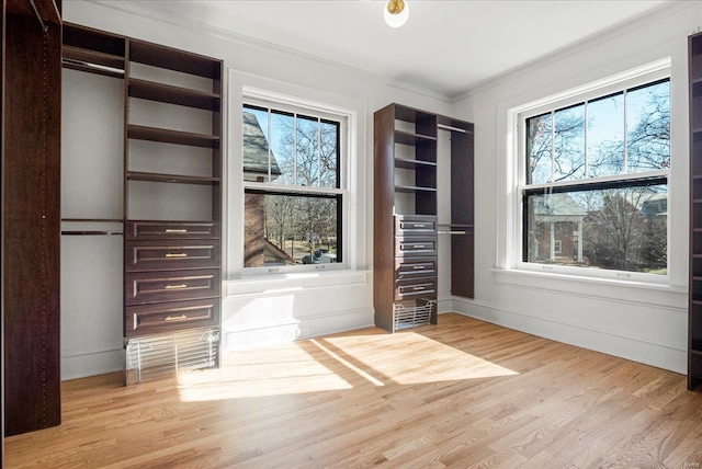 interior space with wood finished floors