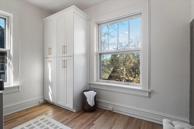 interior space featuring crown molding, light wood-style floors, and baseboards