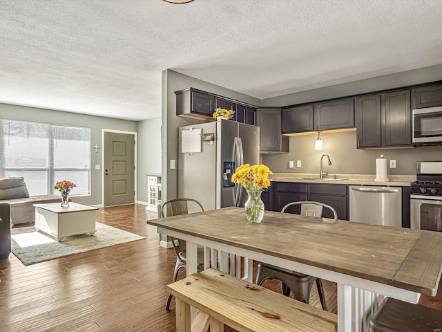 kitchen featuring dark brown cabinetry, light countertops, hardwood / wood-style flooring, stainless steel appliances, and a sink