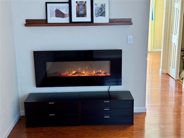 room details featuring a warm lit fireplace, baseboards, and wood finished floors