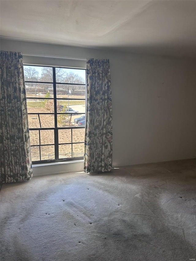 carpeted spare room featuring plenty of natural light