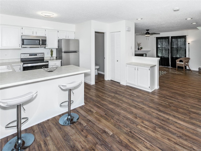 kitchen with a peninsula, light countertops, and stainless steel appliances