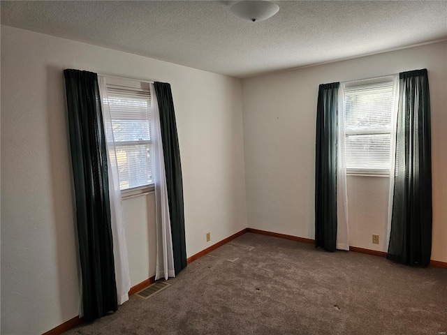 spare room featuring plenty of natural light, carpet, and a textured ceiling