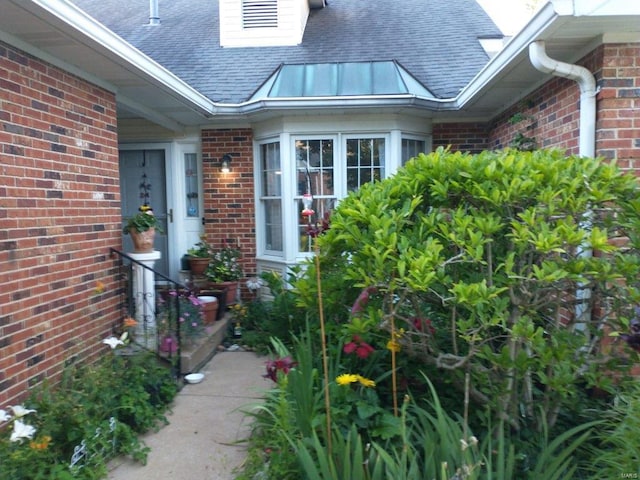 view of exterior entry with brick siding and a shingled roof