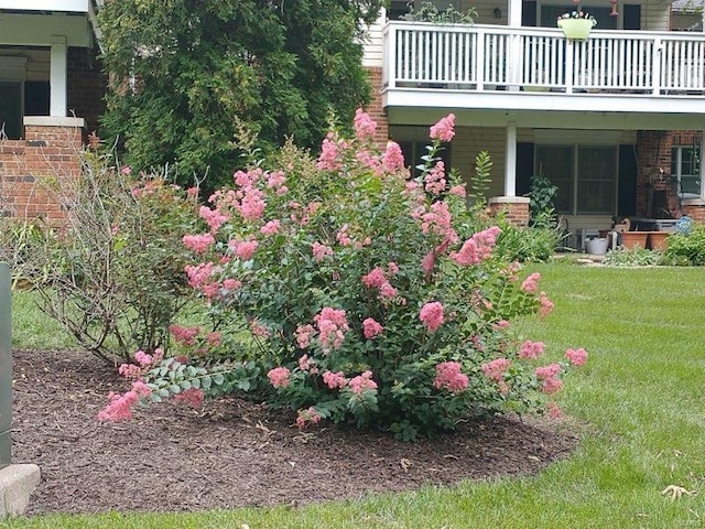 view of yard featuring a balcony