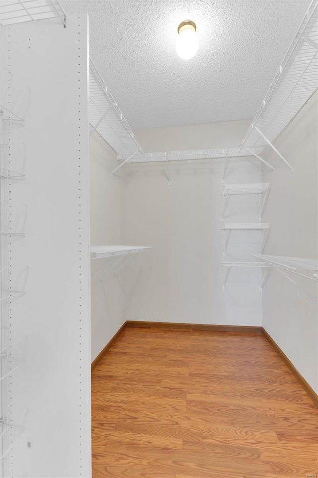 walk in closet featuring light wood-style floors