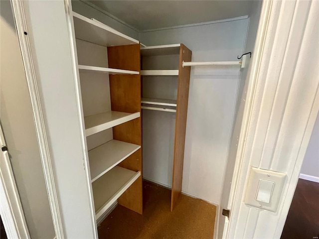 view of walk in closet