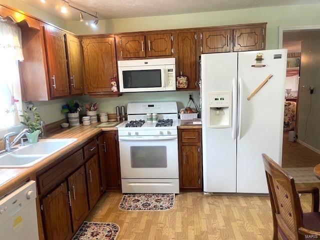 kitchen featuring light wood finished floors, a sink, white appliances, brown cabinetry, and light countertops