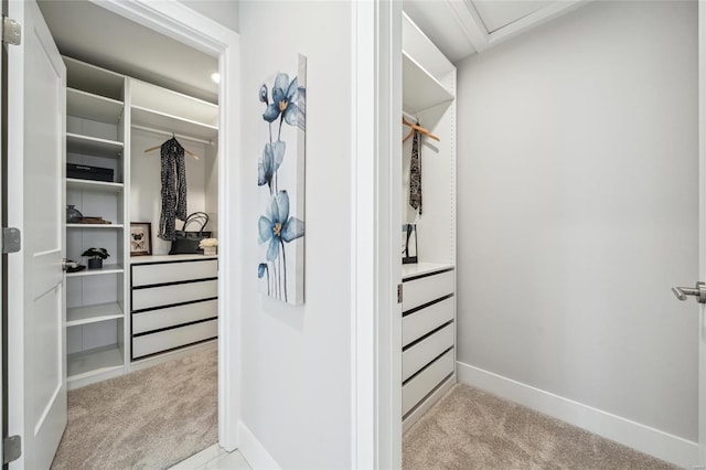 spacious closet with carpet floors