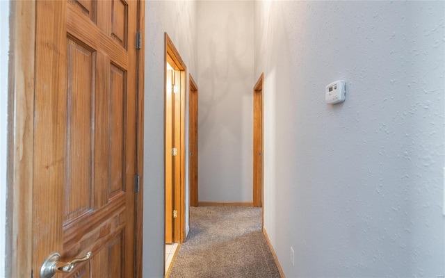 hallway with light carpet, baseboards, and a textured wall