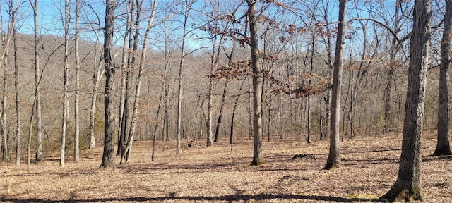 view of nature with a view of trees