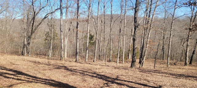 view of landscape with a forest view