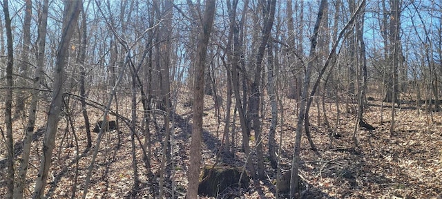 view of local wilderness with a view of trees