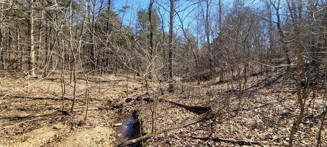 view of local wilderness with a view of trees