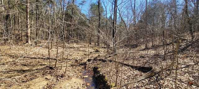 view of local wilderness