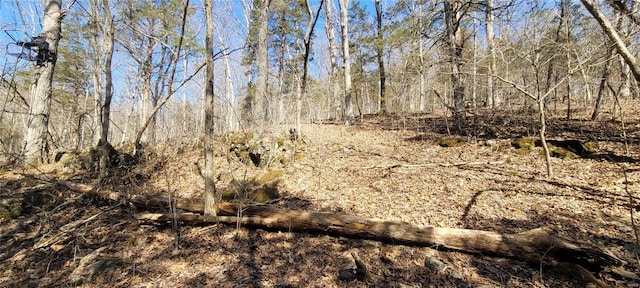 view of nature featuring a view of trees