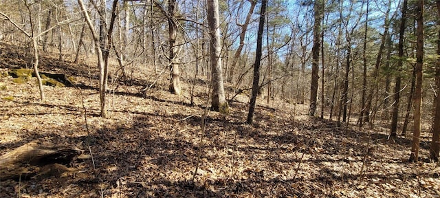 view of landscape with a view of trees