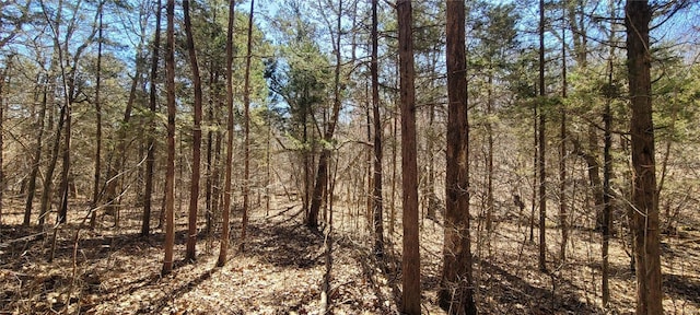 view of nature with a forest view