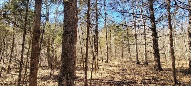 view of landscape featuring a view of trees