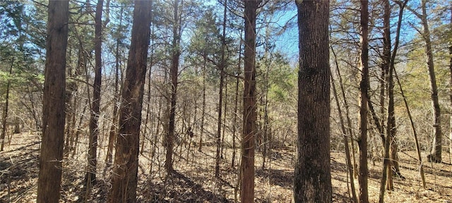 view of landscape featuring a view of trees