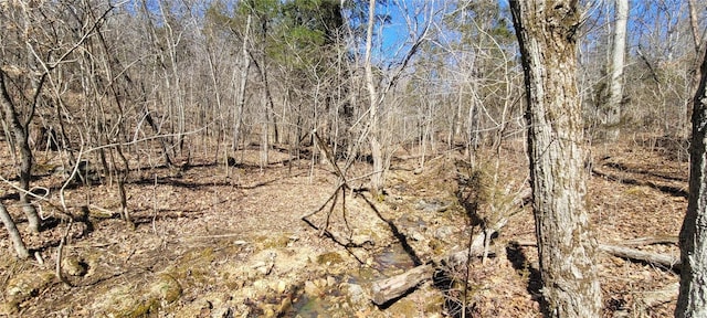 view of local wilderness