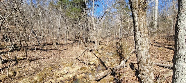 view of local wilderness