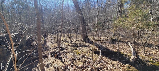 view of local wilderness with a forest view