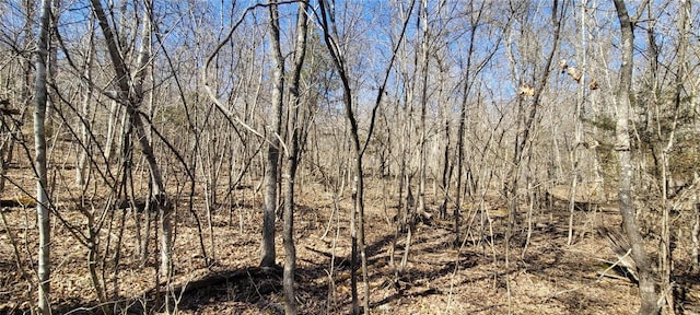 view of landscape featuring a wooded view